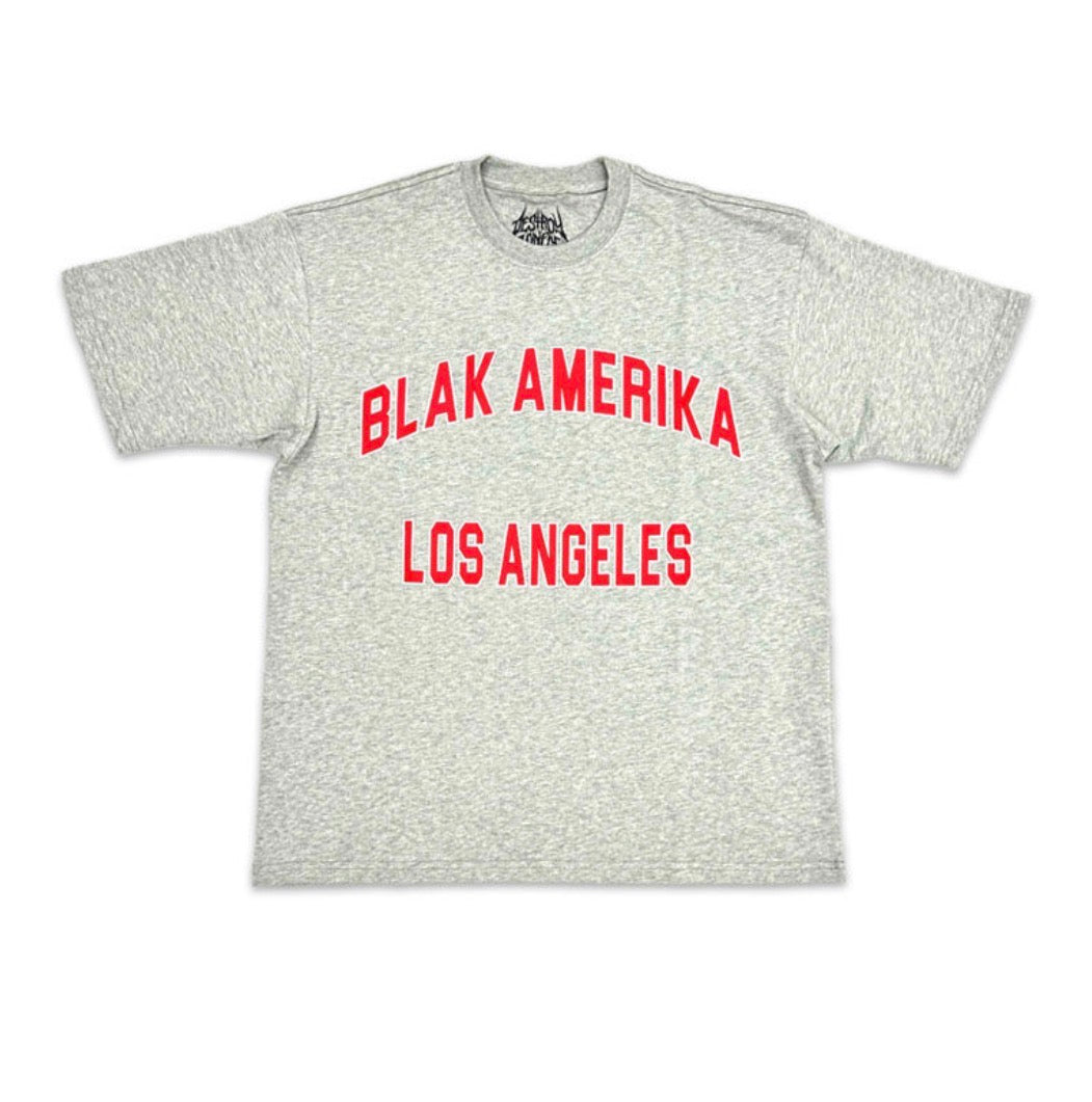 Destroy Lonely Blakk America Tee